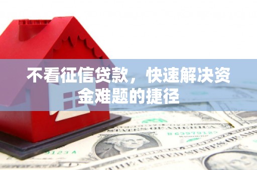 乐东不看征信贷款，快速解决资金难题的捷径