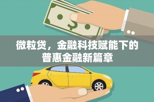 府谷微粒贷，金融科技赋能下的普惠金融新篇章