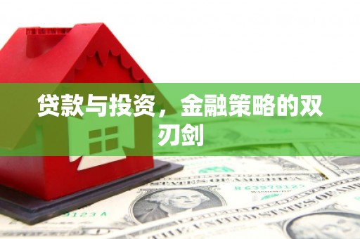 墨竹工卡贷款与投资，金融策略的双刃剑
