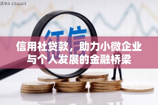 玛家信用社贷款，助力小微企业与个人发展的金融桥梁