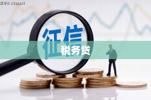 石排税务贷