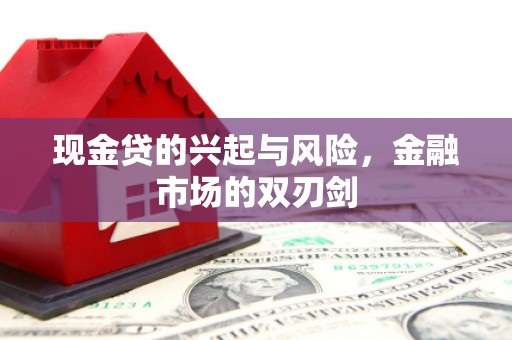 漯河现金贷的兴起与风险，金融市场的双刃剑