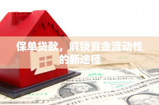 弓长岭保单贷款，解锁资金流动性的新途径