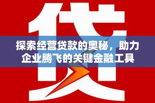 民雄探索经营贷款的奥秘，助力企业腾飞的关键金融工具