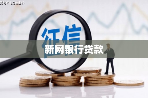 澄城新网银行贷款