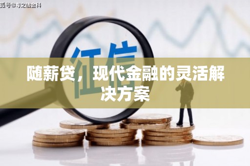 大丰随薪贷，现代金融的灵活解决方案