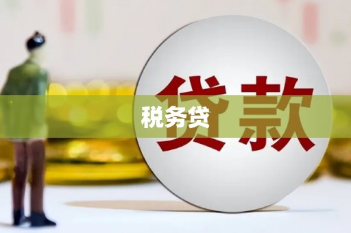 淮上税务贷