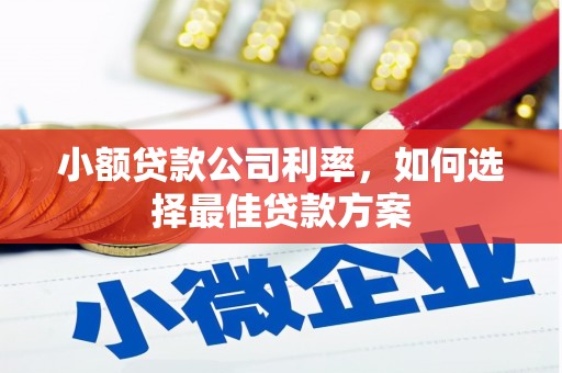 循化小额贷款公司利率，如何选择最佳贷款方案