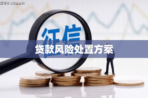 碑林贷款风险处置方案