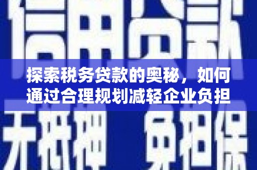 琼中探索税务贷款的奥秘，如何通过合理规划减轻企业负担