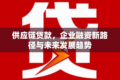 玛沁供应链贷款，企业融资新路径与未来发展趋势