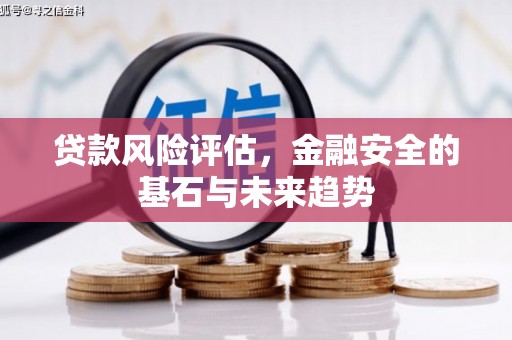 阳高贷款风险评估，金融安全的基石与未来趋势
