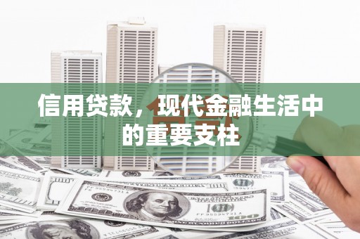 保康信用贷款，现代金融生活中的重要支柱