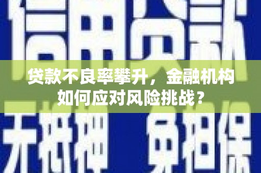进贤贷款不良率攀升，金融机构如何应对风险挑战？