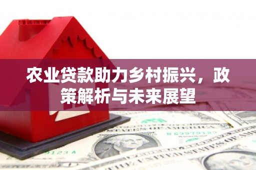 疏附农业贷款助力乡村振兴，政策解析与未来展望