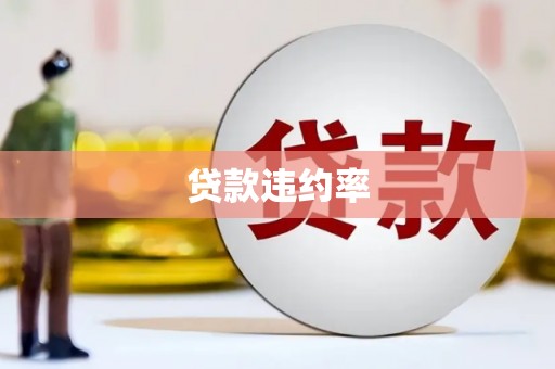 秦汉贷款违约率