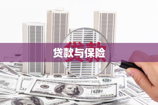阜宁贷款与保险