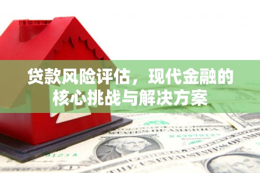 新蔡贷款风险评估，现代金融的核心挑战与解决方案