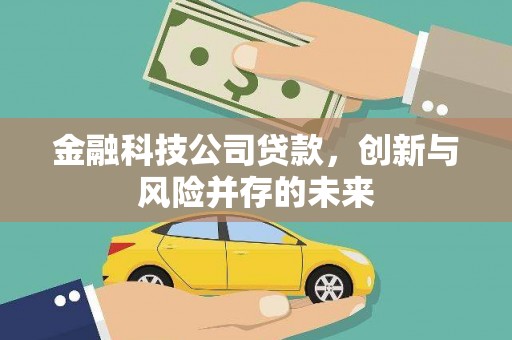 青河金融科技公司贷款，创新与风险并存的未来
