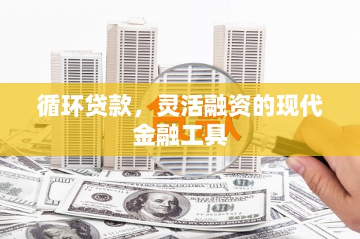 泽普循环贷款，灵活融资的现代金融工具