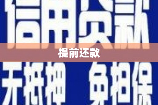 洋山提前还款