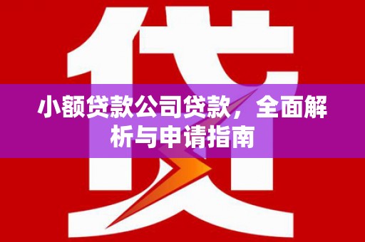 忠县小额贷款公司贷款，全面解析与申请指南