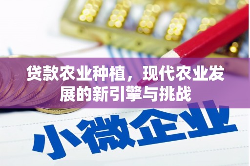 隆昌贷款农业种植，现代农业发展的新引擎与挑战