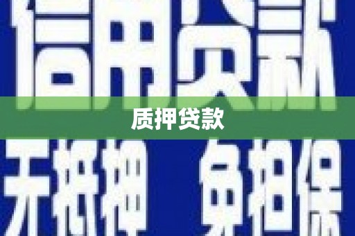 保定质押贷款