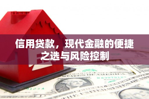 方山信用贷款，现代金融的便捷之选与风险控制