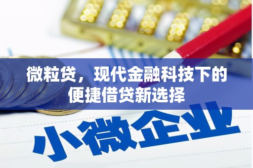 沈丘微粒贷，现代金融科技下的便捷借贷新选择