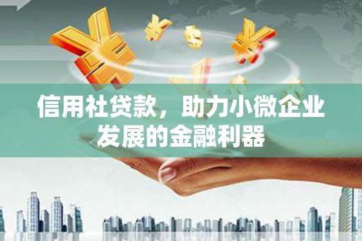 勉县信用社贷款，助力小微企业发展的金融利器