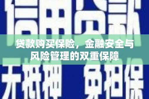 清流贷款购买保险，金融安全与风险管理的双重保障