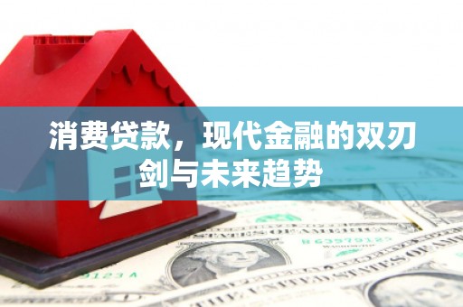 花莲消费贷款，现代金融的双刃剑与未来趋势