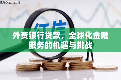 盐源外资银行贷款，全球化金融服务的机遇与挑战