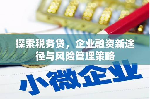 滁州探索税务贷，企业融资新途径与风险管理策略