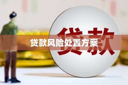 柳东贷款风险处置方案