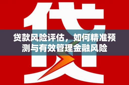 镇巴贷款风险评估，如何精准预测与有效管理金融风险