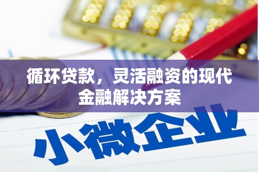 松溪循环贷款，灵活融资的现代金融解决方案