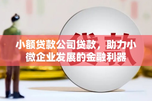 师宗小额贷款公司贷款，助力小微企业发展的金融利器