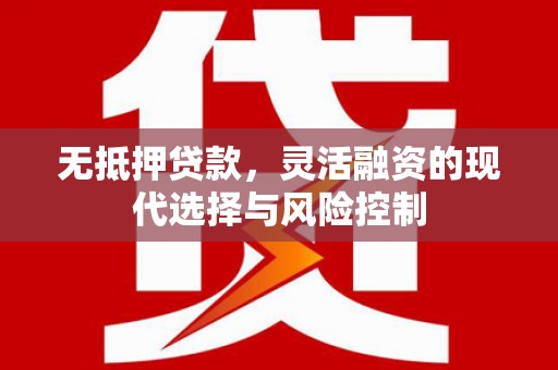 南宫无抵押贷款，灵活融资的现代选择与风险控制