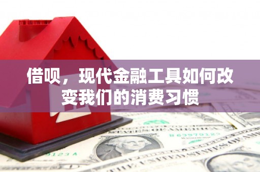 尖石借呗，现代金融工具如何改变我们的消费习惯