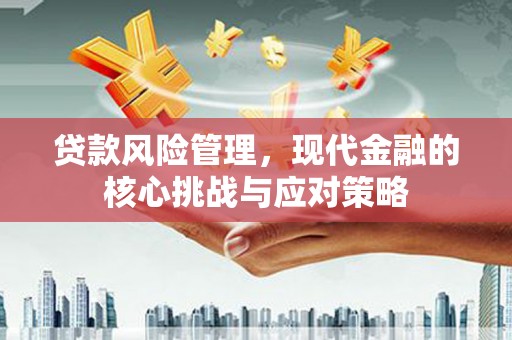 金溪贷款风险管理，现代金融的核心挑战与应对策略