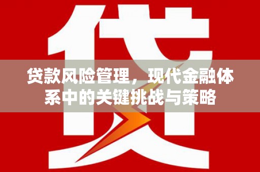 北区贷款风险管理，现代金融体系中的关键挑战与策略