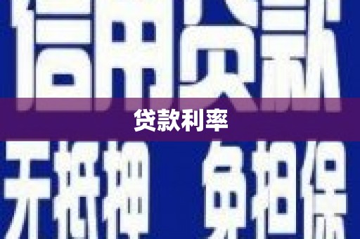 边坝贷款利率
