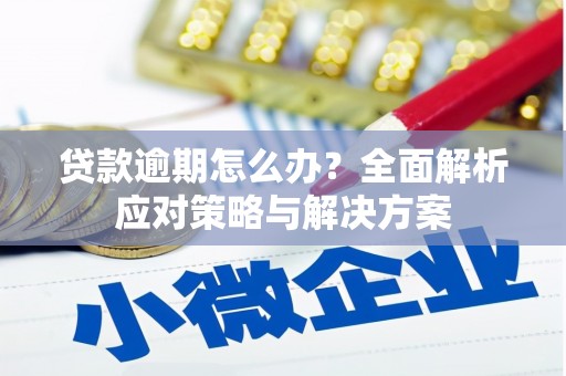 滴道贷款逾期怎么办？全面解析应对策略与解决方案