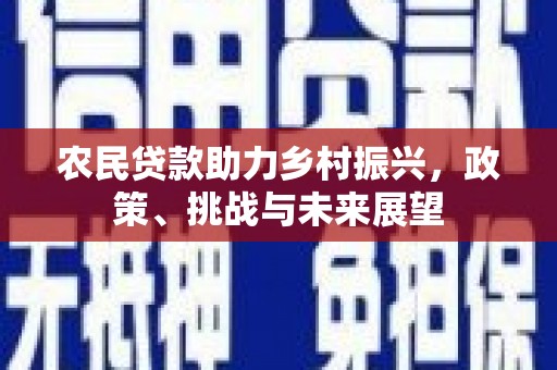 长岭农民贷款助力乡村振兴，政策、挑战与未来展望