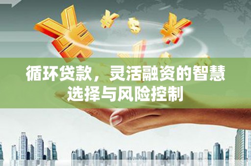 舟山新区循环贷款，灵活融资的智慧选择与风险控制