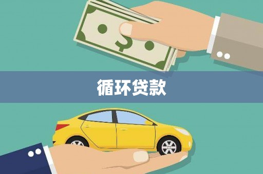 镇巴循环贷款