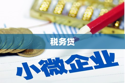 南丹税务贷