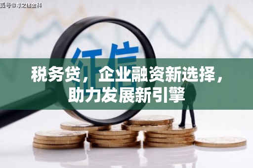 康保税务贷，企业融资新选择，助力发展新引擎